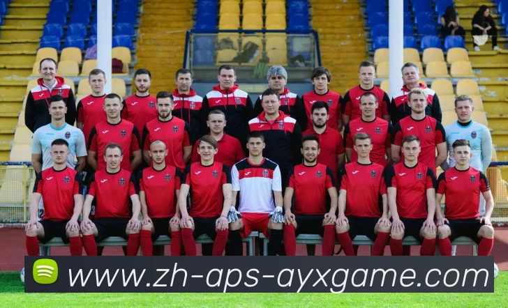 爱游戏平台生态图