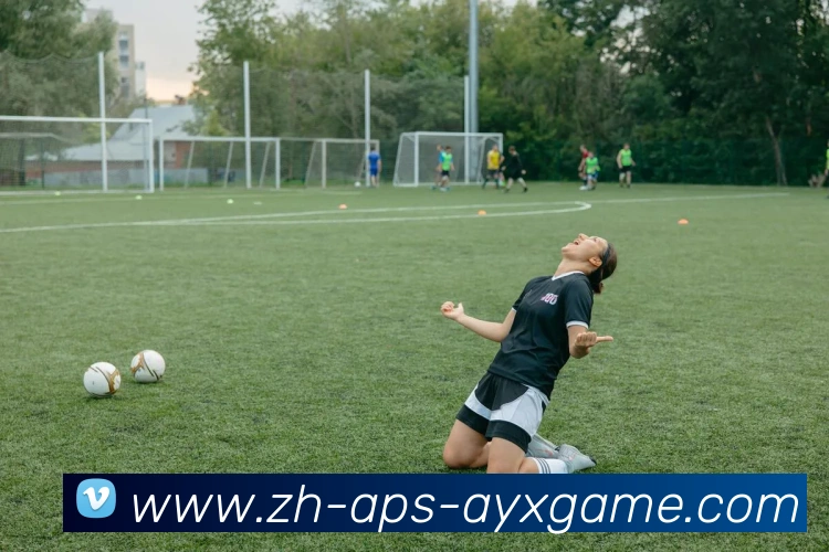 爱游戏APP 封面图